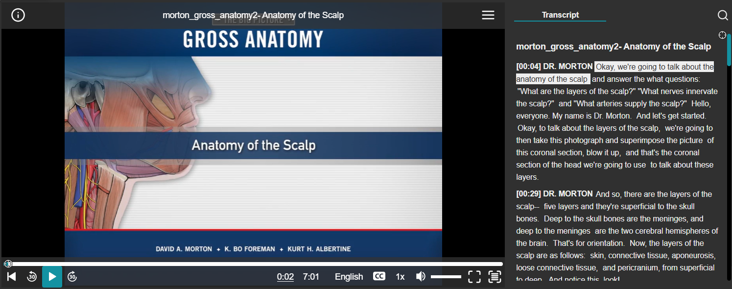 gross anatomy