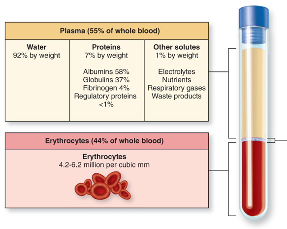 blood