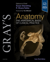 Gray Anatomy